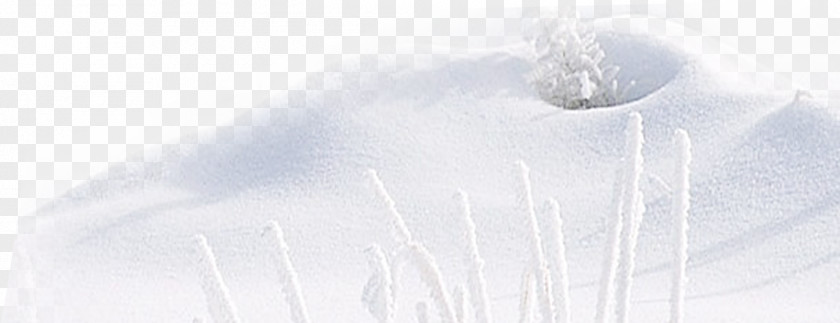 Romantic Winter Snow Pictures White Angle Font PNG