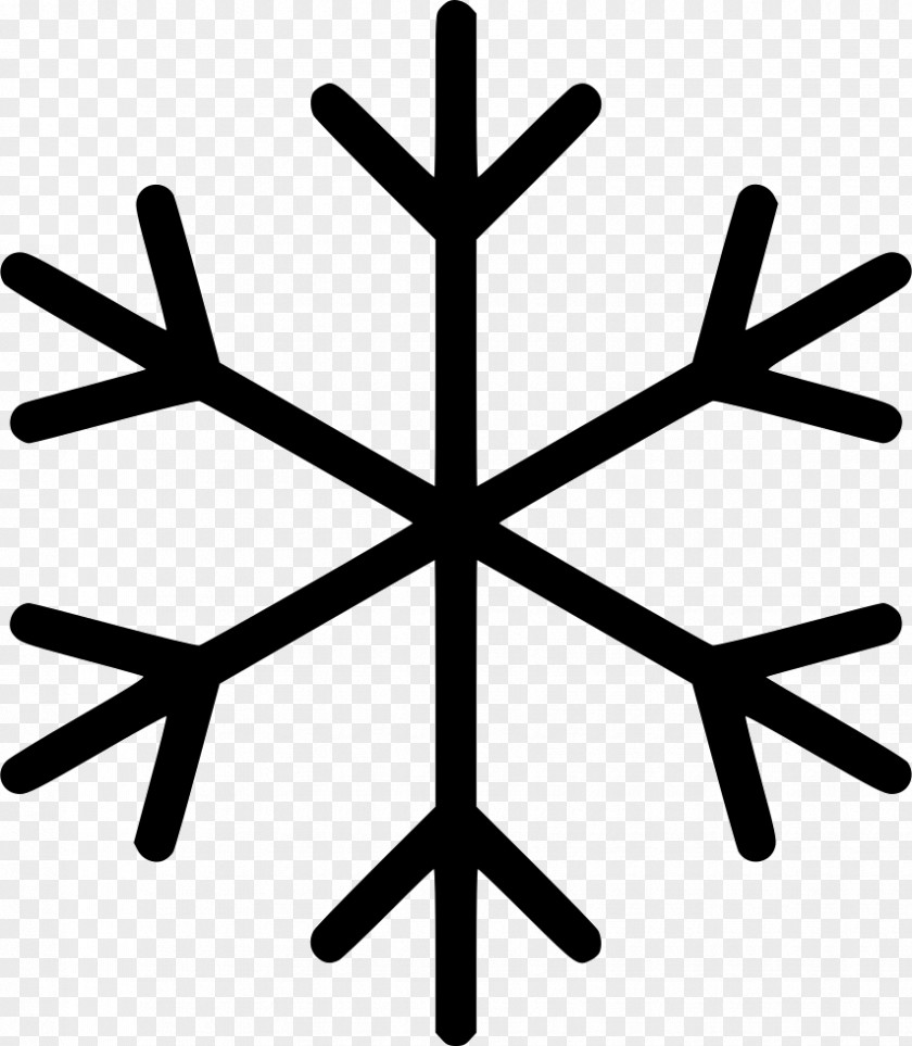 Snowflake Flake Ice PNG