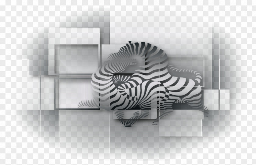 Zebra Brand Desktop Wallpaper PNG