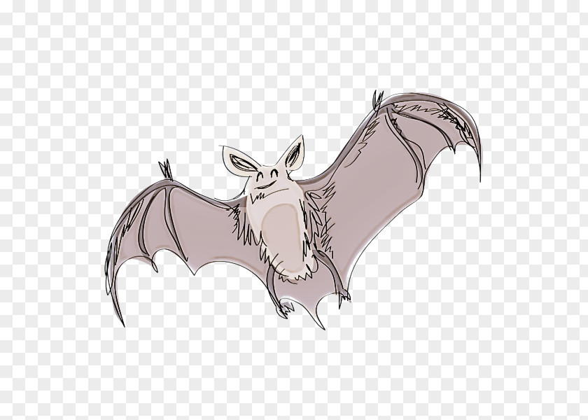 Claw Wing Bat Cartoon PNG