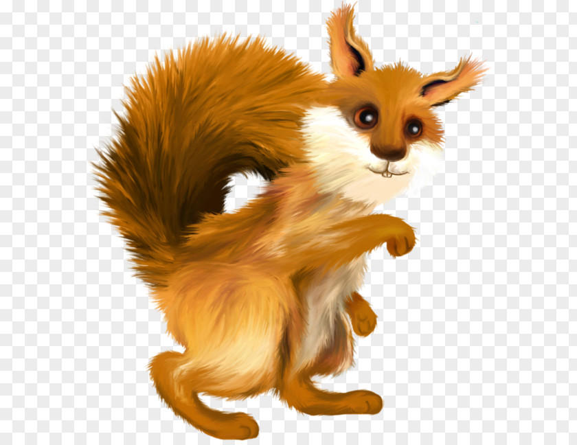 Fox Red Tree Squirrels Rodent Clip Art PNG