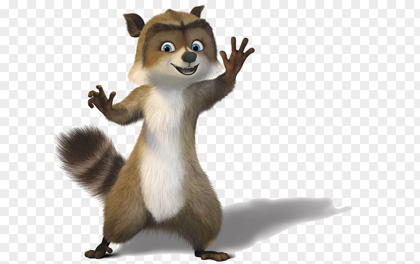 Raccoon Hammy DreamWorks Animation Film PNG