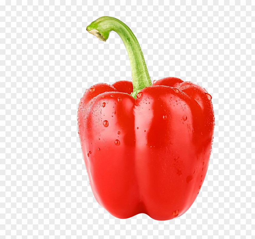 Red Pepper Bell Vegetarian Cuisine Vegetable Trinidad Moruga Scorpion Seed PNG