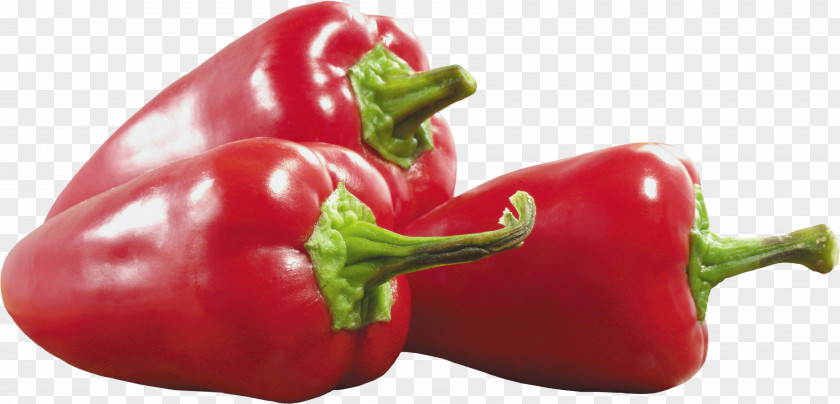 Red Pepper Image Cayenne Chili Bell PNG