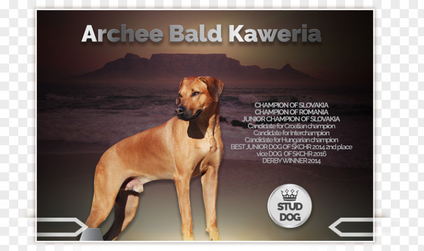 Rhodesian Ridgeback Dog Breed Italian Greyhound PNG