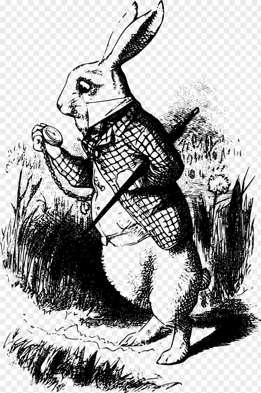 Alice In Wonderland Drawings White Rabbit Alice's Adventures Cheshire Cat Queen Of Hearts PNG