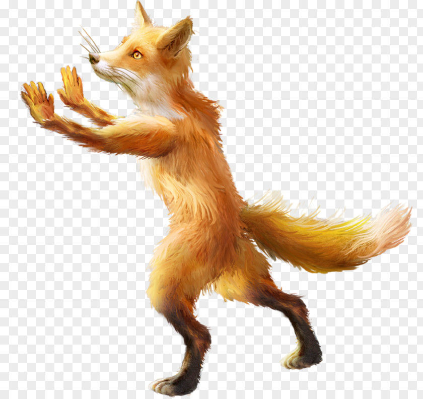 Animation Red Fox Cartoon Drawing PNG