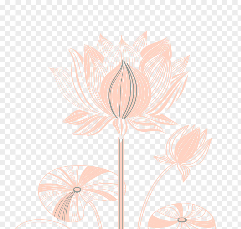 Creative Line Drawing Lotus Floral Design Petal Pattern PNG