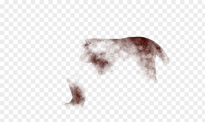 Fur Canidae Mammal Skin Scar PNG