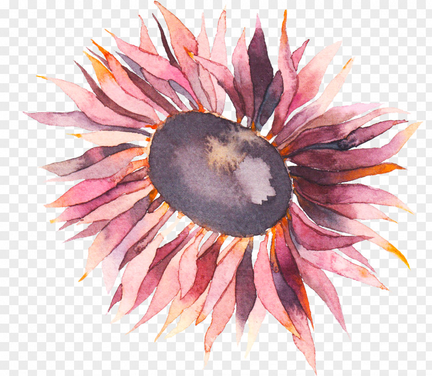 Hand Painted Flower Watercolor Painting Photography PNG
