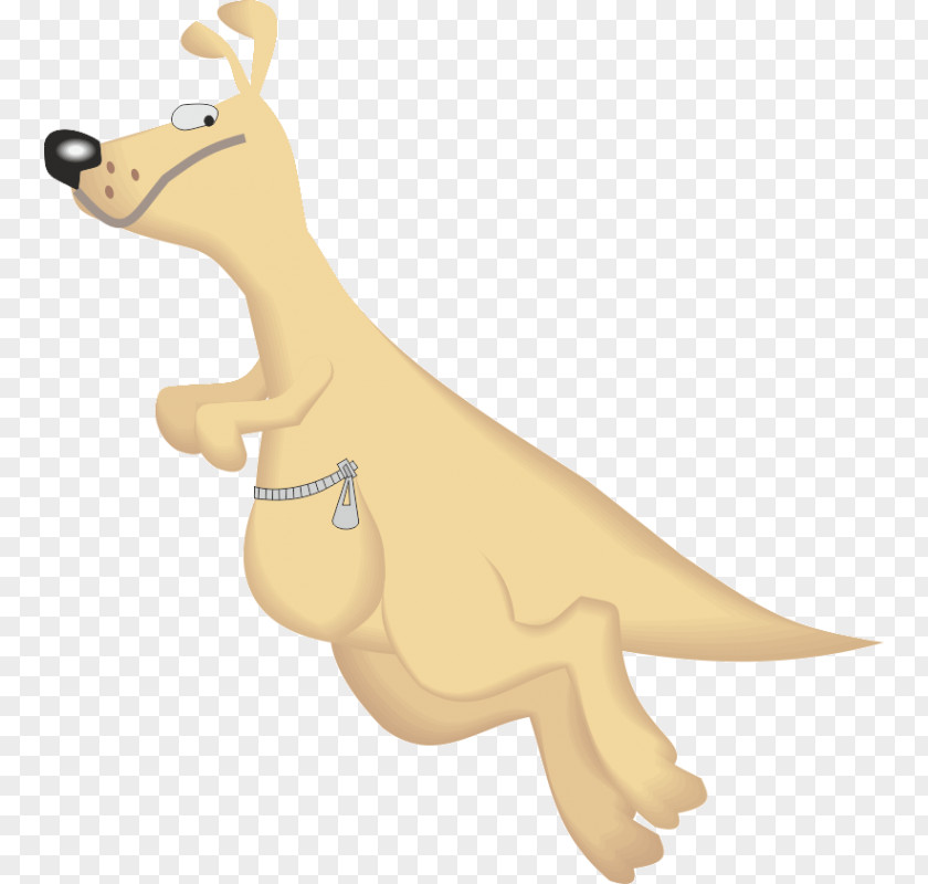 Kangaroo Dingo Animation Clip Art PNG