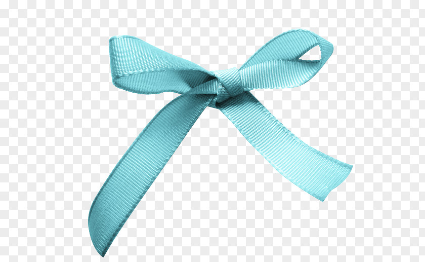 Ribbon Shoelace Knot Blue Shoelaces PNG