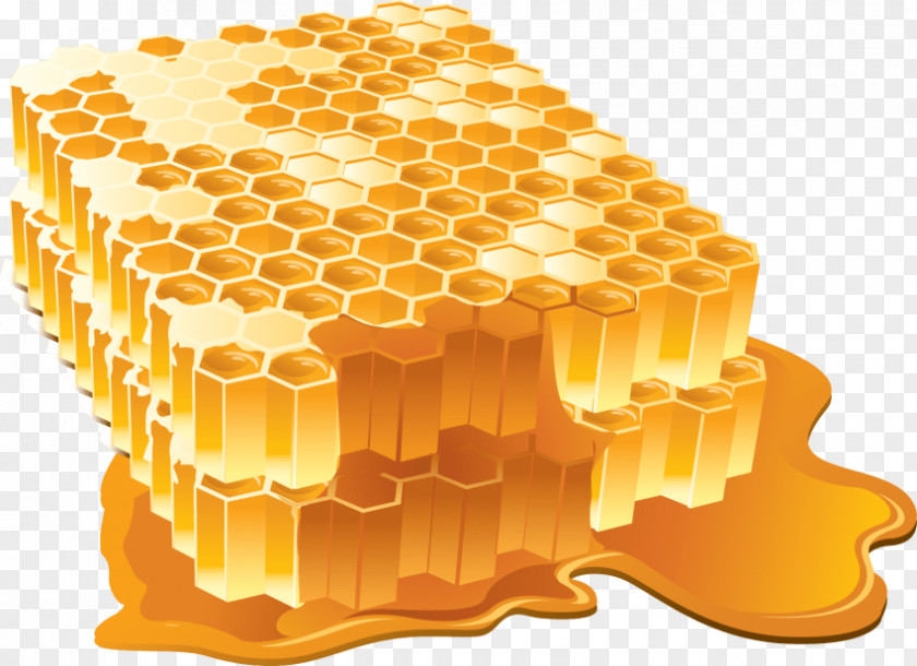 Honey Clip Art Bee Adobe Illustrator Artwork PNG