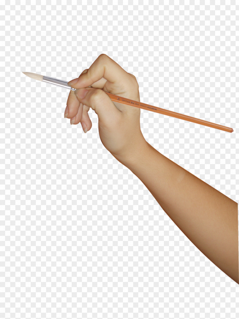 Upper Limb Hand Watercolor Painting Paintbrush PNG limb painting Paintbrush, arm, person holding color pencil while drawing clipart PNG