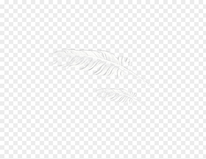 White Feather Pattern Black And Download PNG