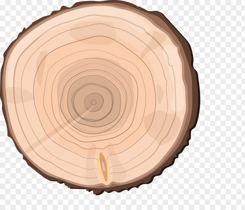 Craft Space Image Design Tree PNG