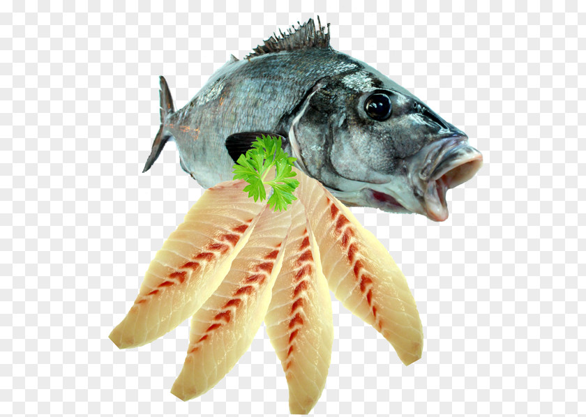 Fillet Fish Seafood PNG