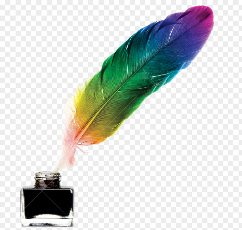 Pen Quill Inkwell Feather PNG