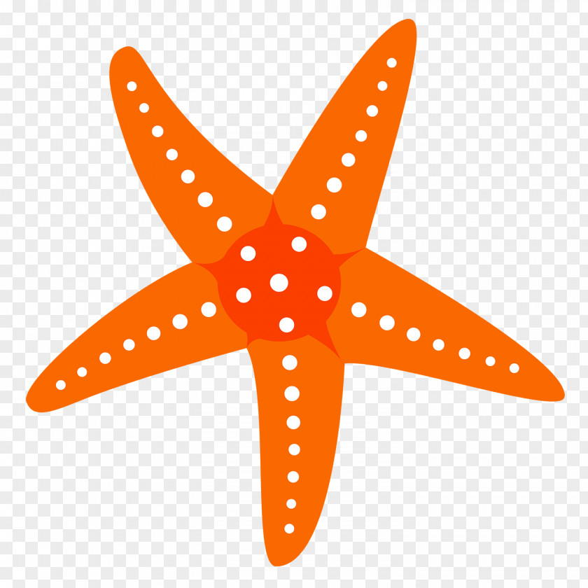 Starfish Paper Sticker International Space Station Clip Art PNG