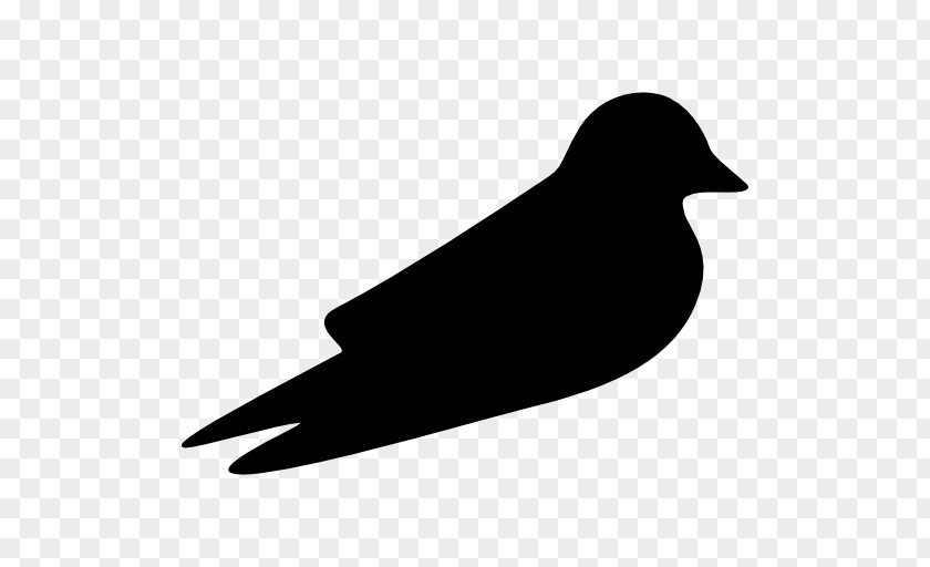Bird Barn Swallow Beak Clip Art PNG
