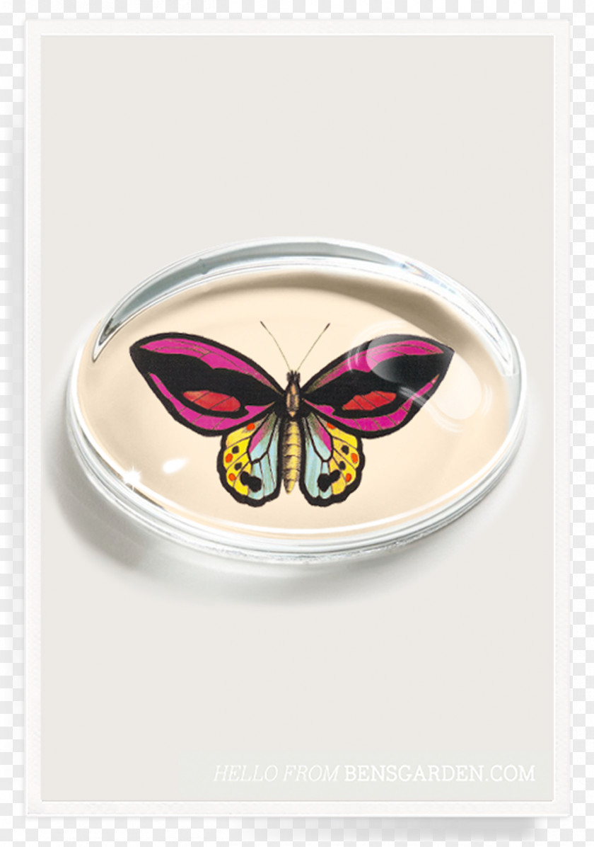 Butterfly Aestheticism Paperweight Ben's Garden These Are Great Days Crystal PNG