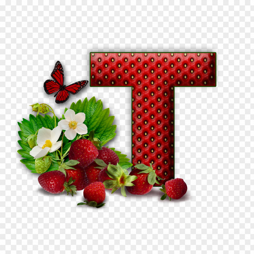 Letter T English Alphabet Case PNG