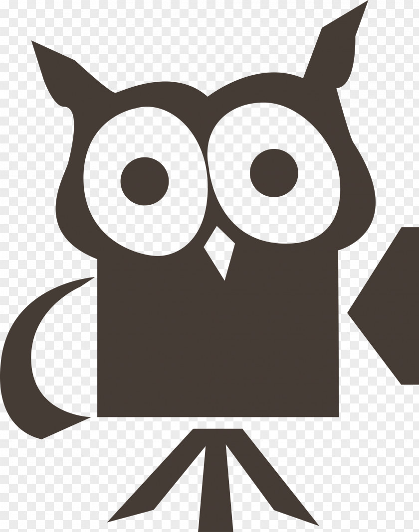 Owl Beak Snout Wisdom Clip Art PNG