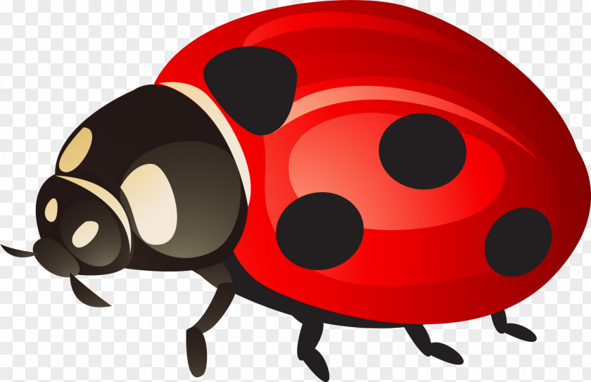 Painted Red Ladybug Ladybird Beetle Clip Art PNG
