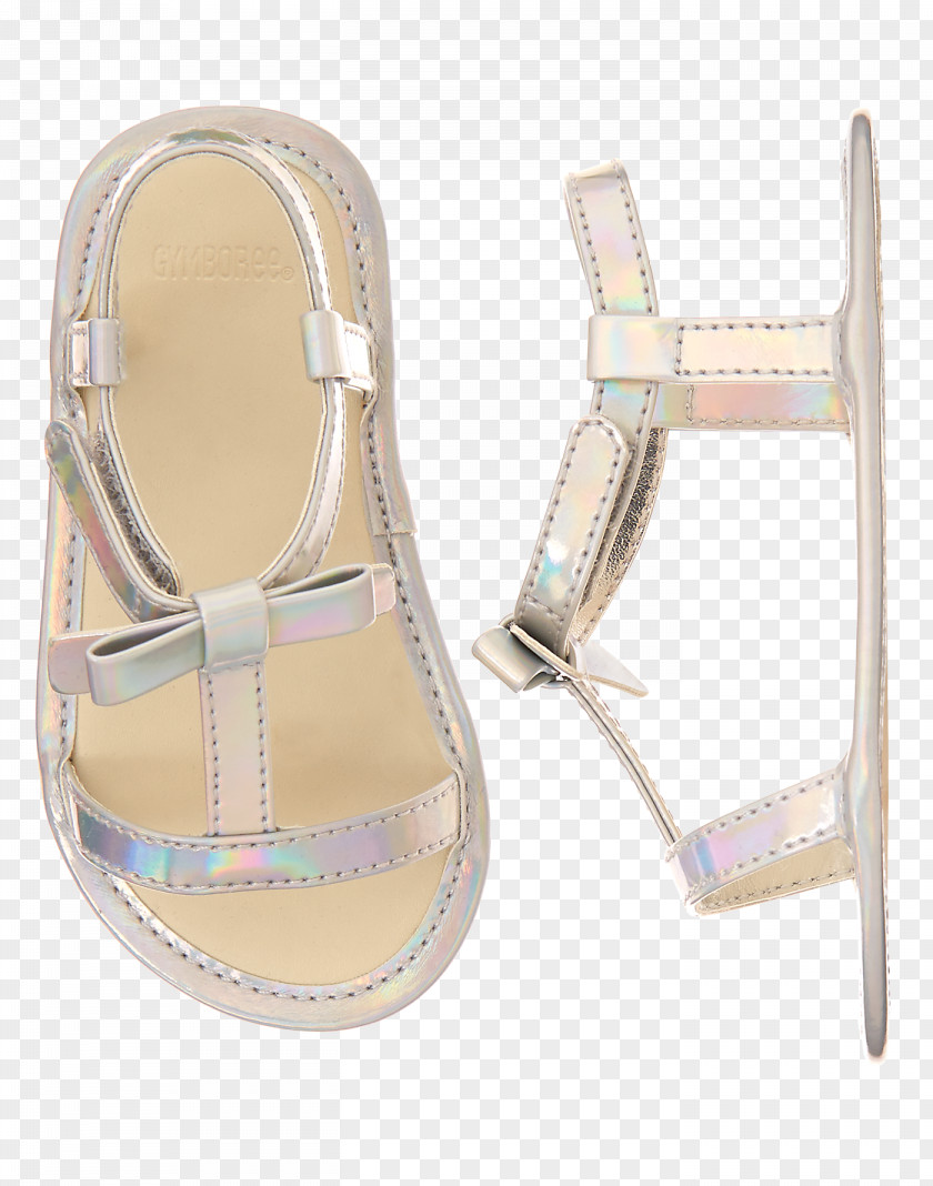 Sandal Silver Rainbow Shoe PNG