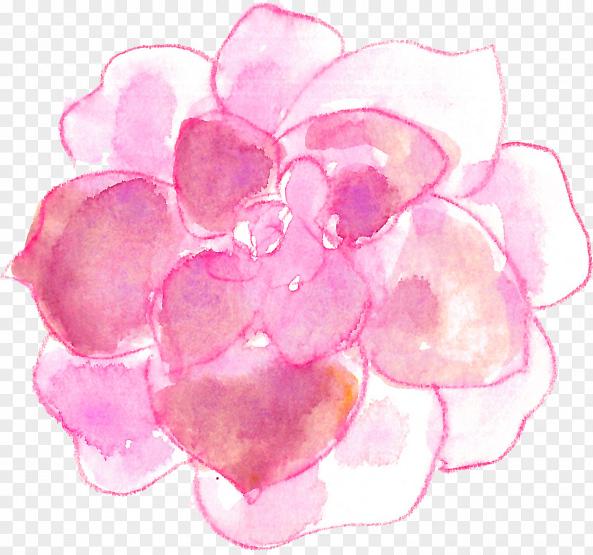 Succulent Plants Plant Watercolor Painting PNG