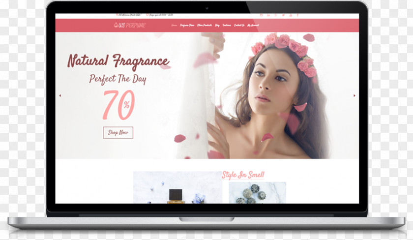 WordPress Responsive Web Design Beauty Parlour Template System PNG
