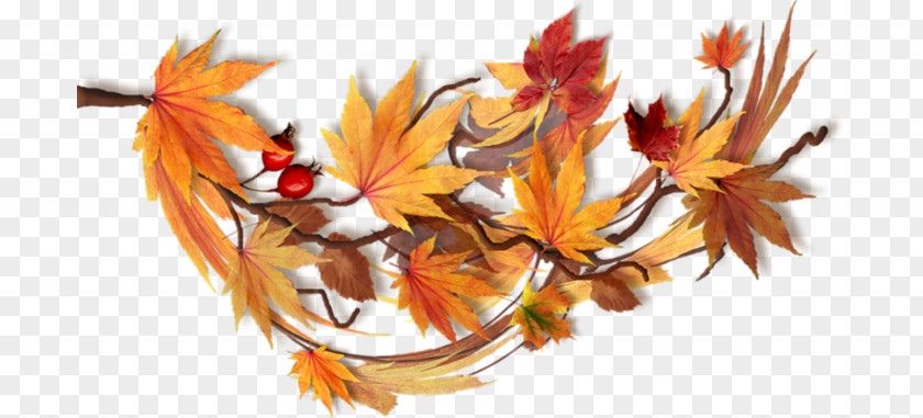 Autumn Maple Leaf Nature Calendar PNG