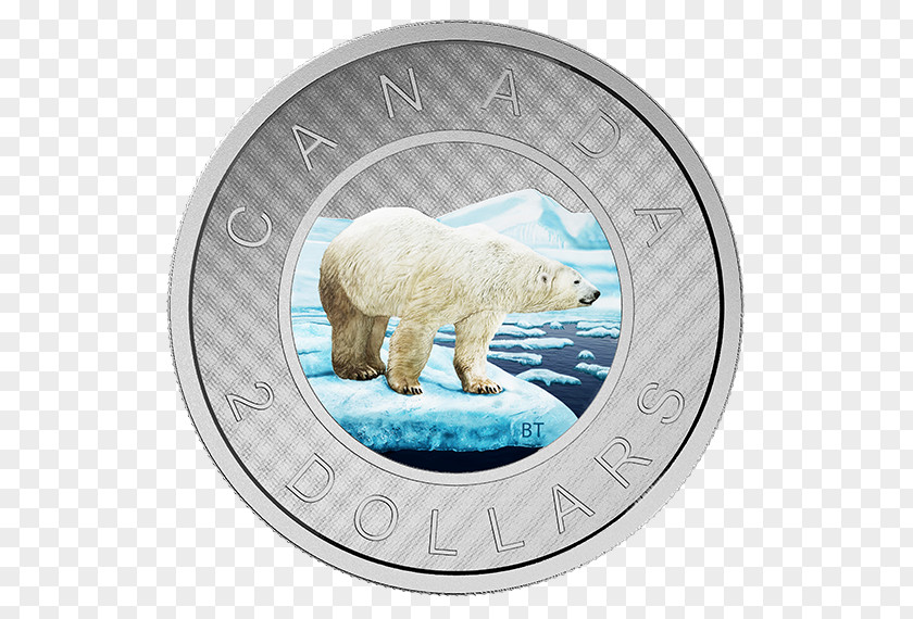 Canada Silver Coin Toonie PNG