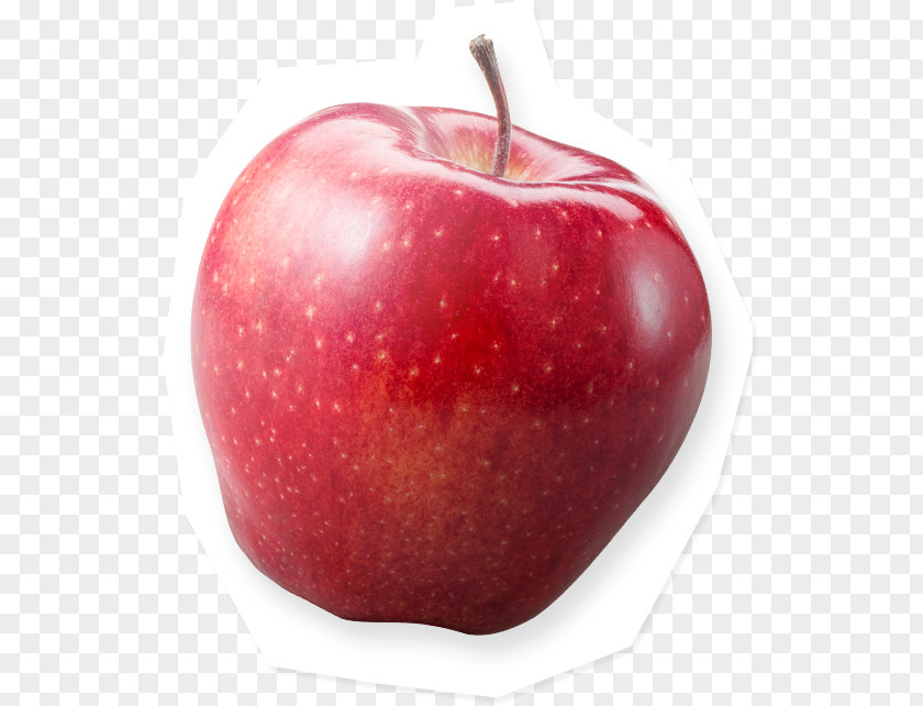 Delicious Empire Apples Idared Gala Red PNG