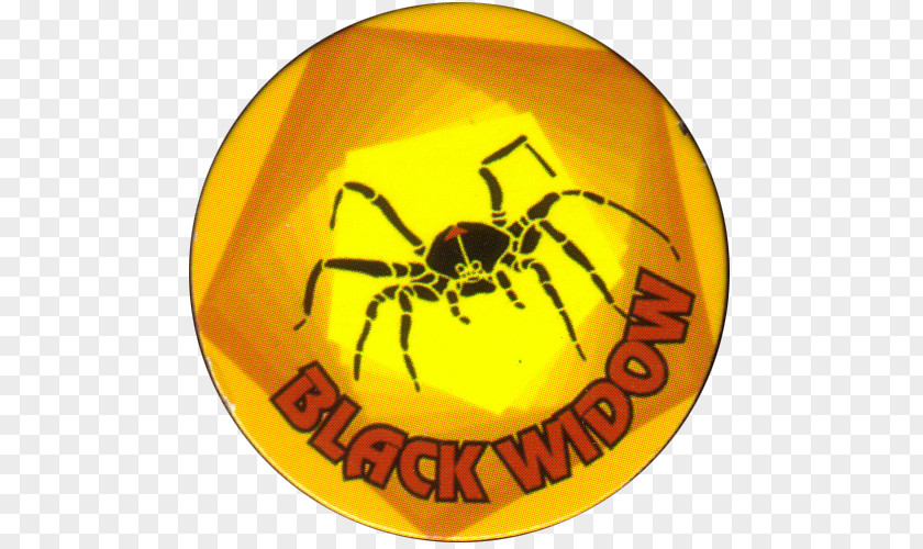 Spider Widow Spiders Black Insect Animal PNG