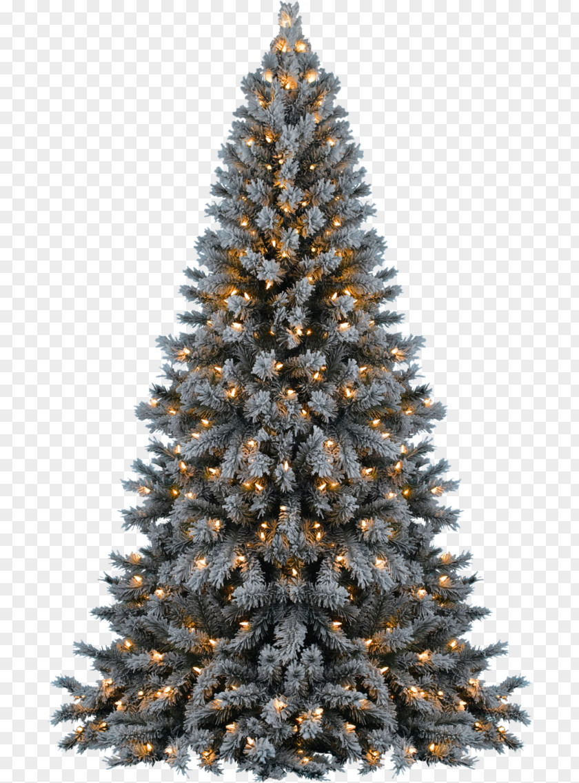Christmas Tree Artificial Ornament PNG