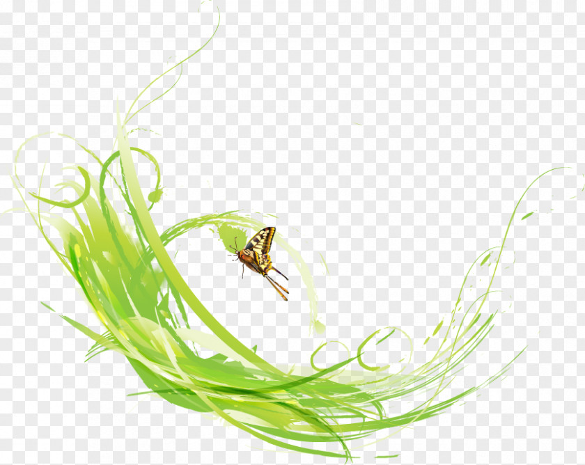 Green Grass Butterfly Computer File PNG
