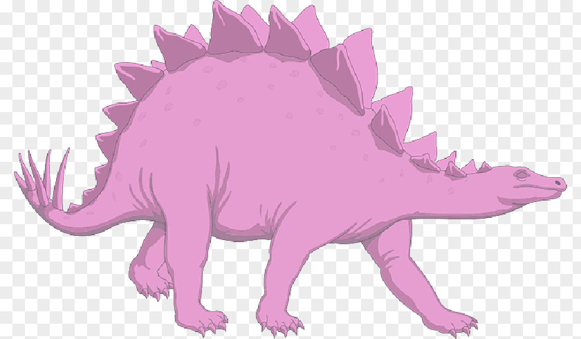 Lavender Spikes Stegosaurus Clip Art Dinosaur Tyrannosaurus PNG