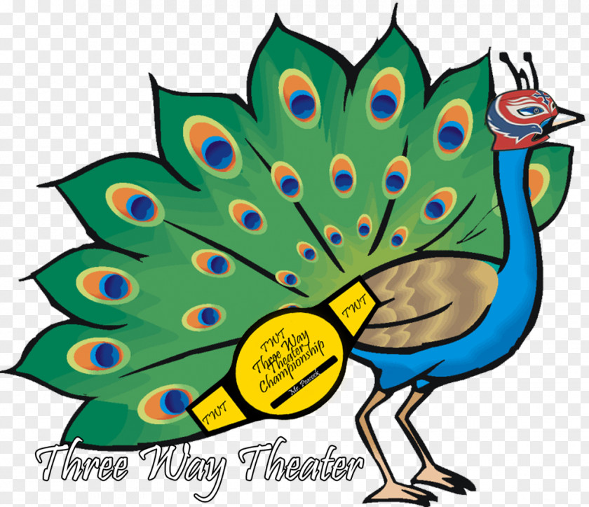 Peacock Peafowl Feather Clip Art PNG