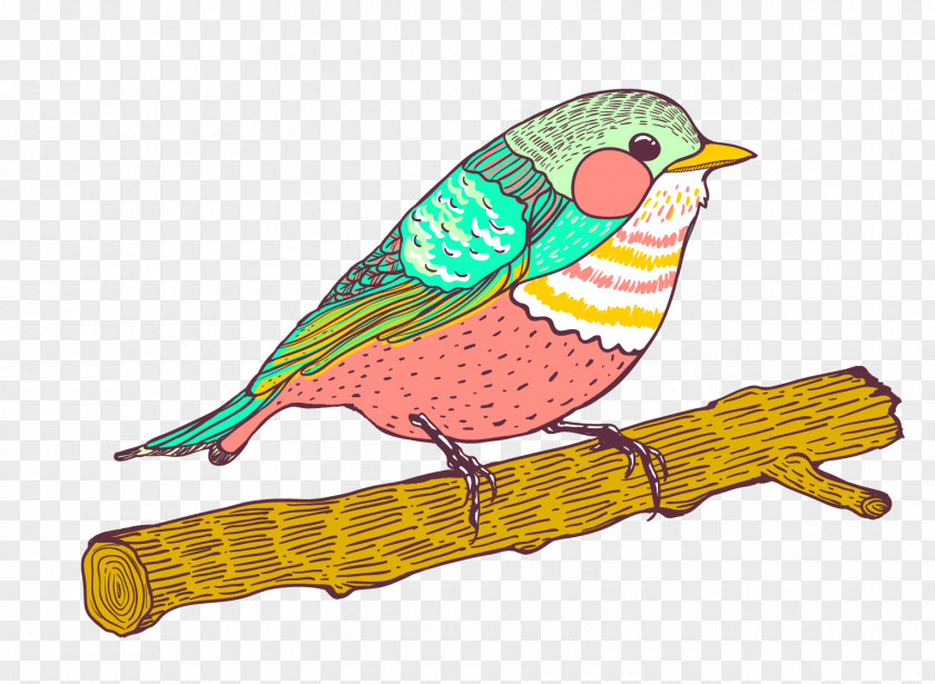Vector Sparrow Animal Bird Parrot Euclidean Illustration PNG