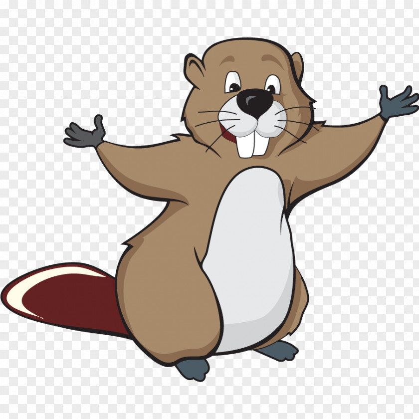 Beaver Drawing Clip Art PNG