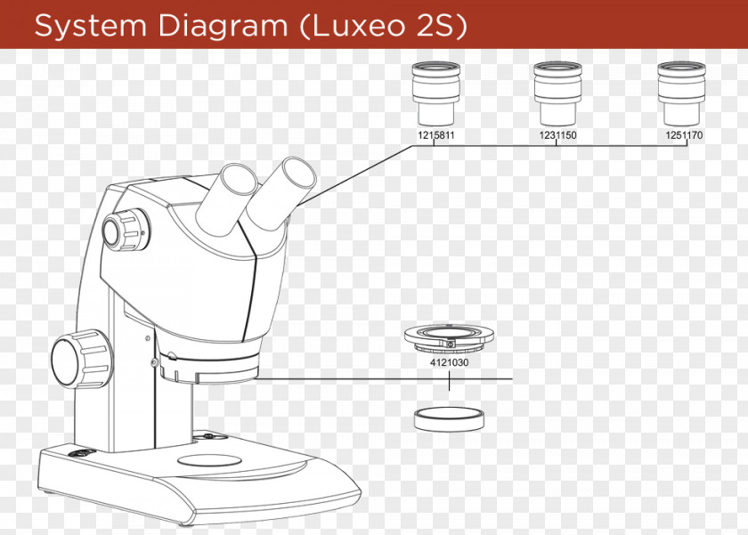 Design Glass Line Art White PNG