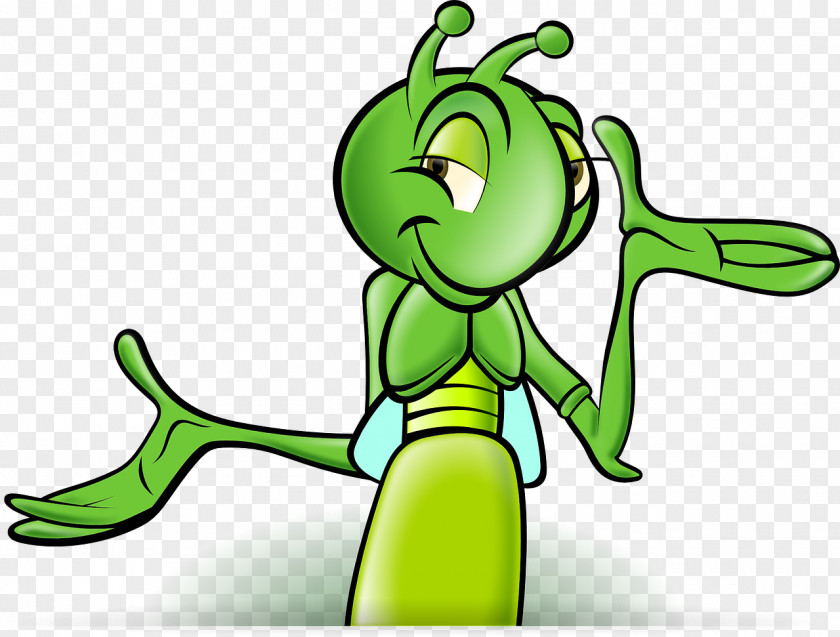 Green Bugs Cricket Cartoon Clip Art PNG