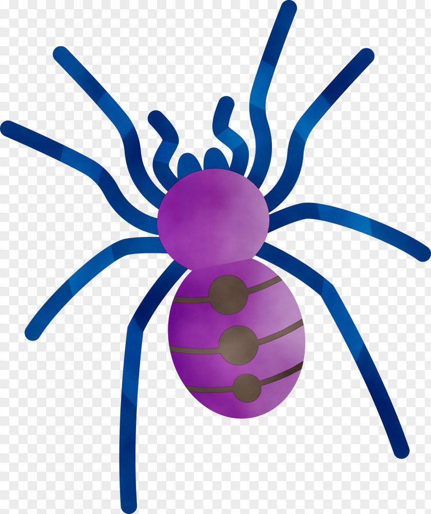 Insect Purple Line PNG