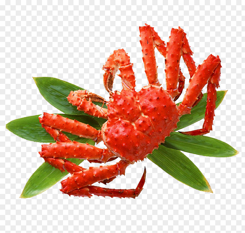Red King Crab Seafood Chinese Mitten PNG king crab mitten crab, Crabs clipart PNG
