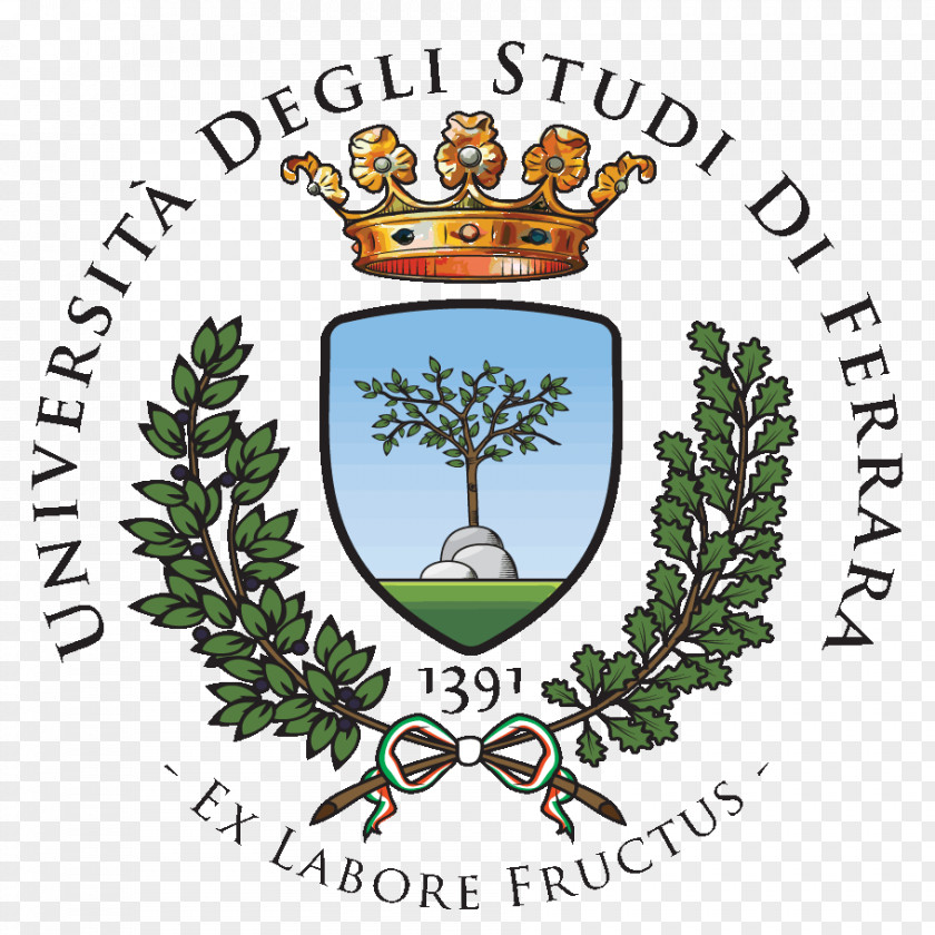 Student University Of Ferrara Camerino Turin Master's Degree PNG