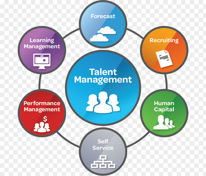 Business Talent Management System Stambaugh Ness PNG