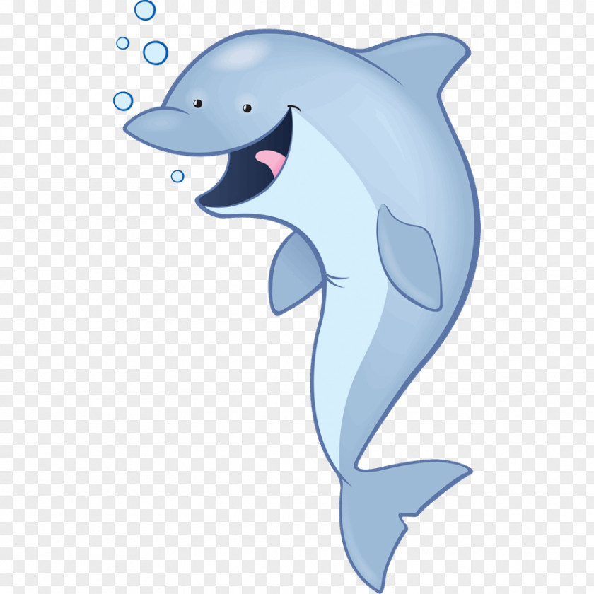 Child Common Bottlenose Dolphin Tucuxi Sticker Wall Decal PNG