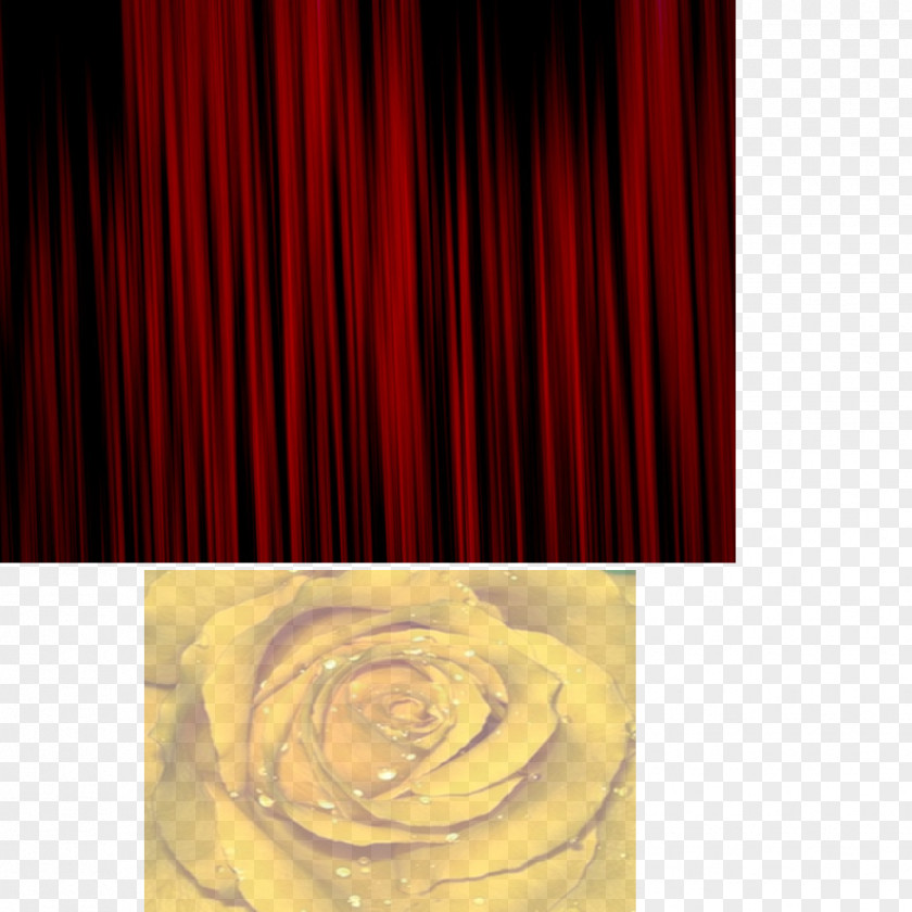 Curtain Petal RED.M PNG