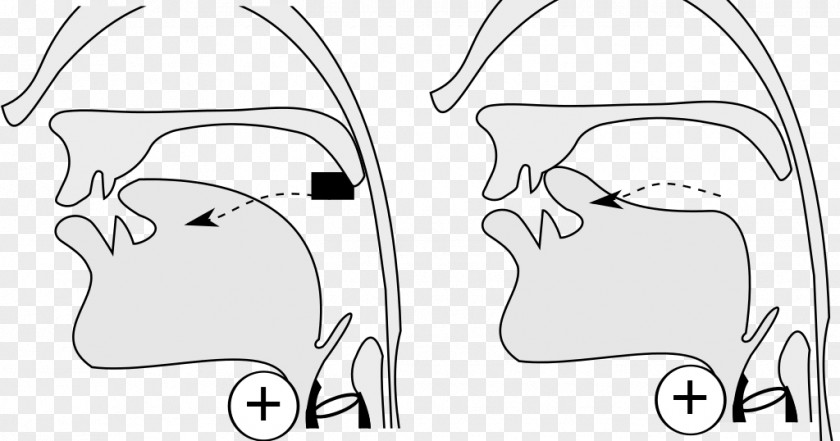 Ear Sketch Illustration Finger Cheek PNG
